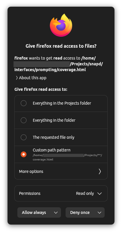 A prompt for Firefox to access a Go coverage summary, with a custom path pattern allowing any coverage file in Projects
